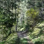 Bergjuwel Lägenhet *